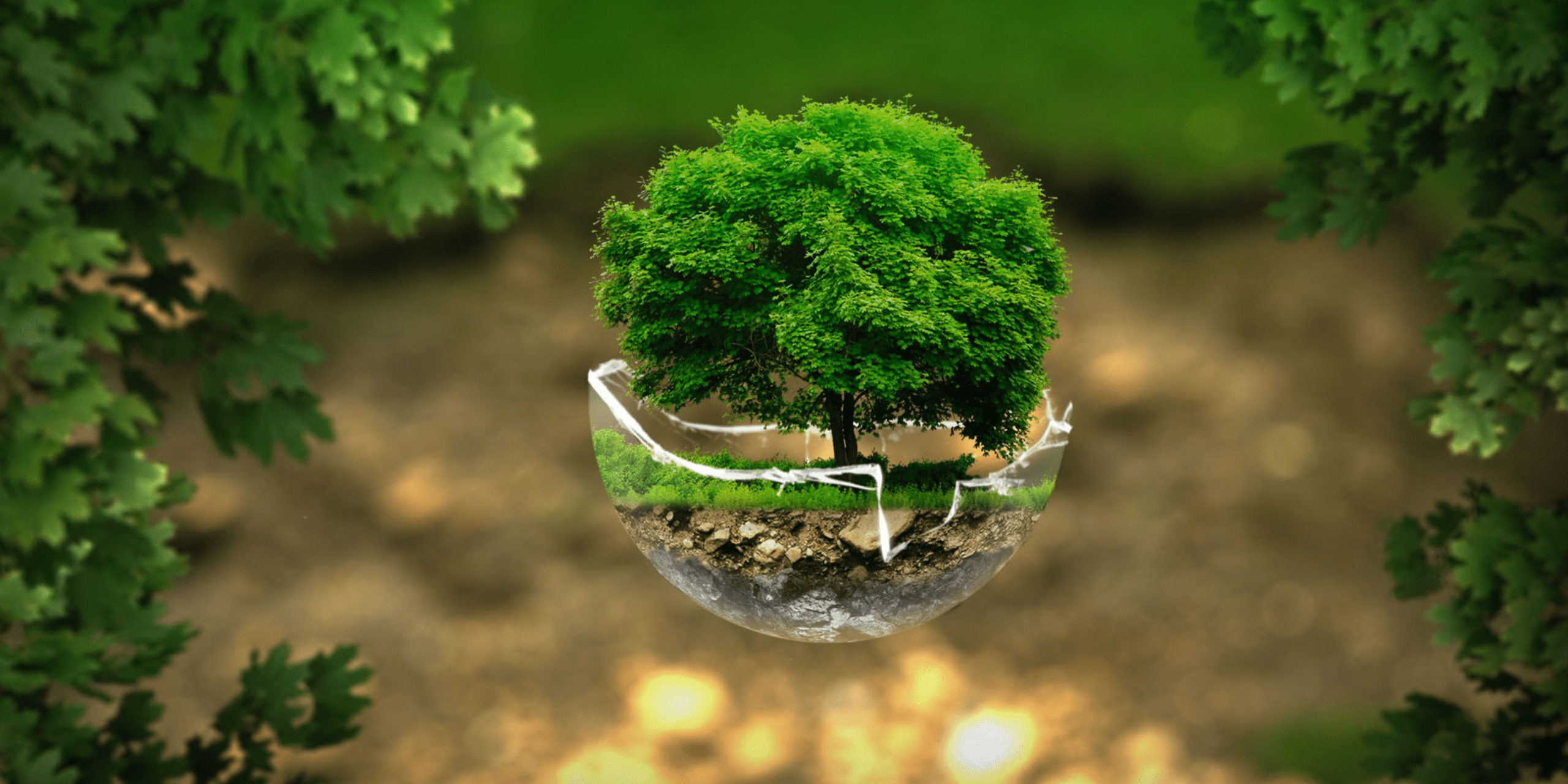 Une application en faveur de l'environnement